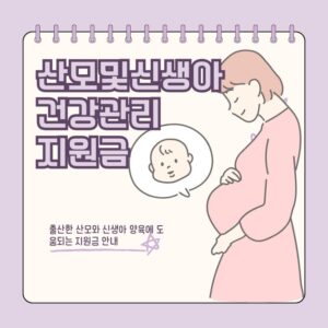 산모및신생아건강관리 지원금, 지원대상, 지원자격, 지원기간, 신청방법, 서비스 내용 