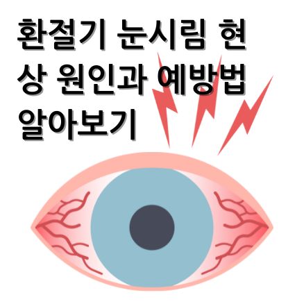 환절기 눈시림 현상의 원인과 예방법 알아보기