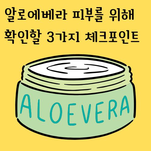 알로에베라 고르기 위한 체크리스트 3가지는 무엇이 있을지 알아봅시다