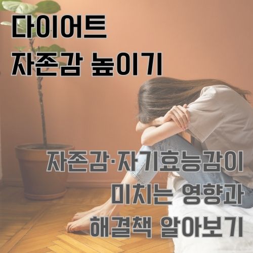 다이어트 실패의 원인 중 하나인 낮은 자존감에 대해서 이야기 합니다.