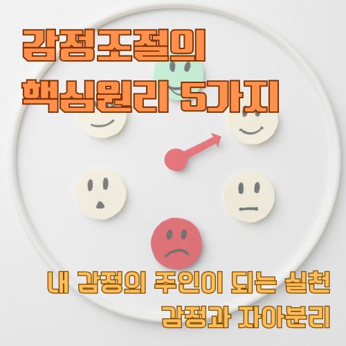 감정조절의 5단계를 보여주는 시계 모양 다이어그램, 다양한 표정의 이모티콘으로 감정 변화 과정을 표현
