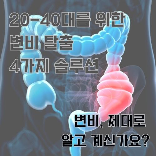 변비의 증상을 나타내는 장애 변이 차 있는 모습을 빨간 색으로 강조하여 보여주는 그림 