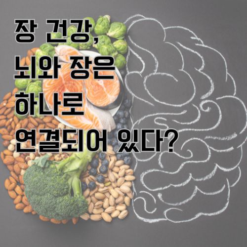 장건강이 뇌와 연결되어 있음을 보여주는 내용을 좌측은 음식, 우측은 뇌의 모습을 그려놓은 사진 