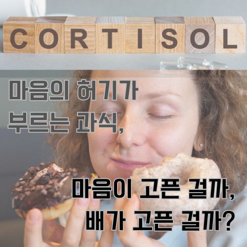 코르티솔이 분비되어 감정적 식사를 하고 있는 여성의 사진 