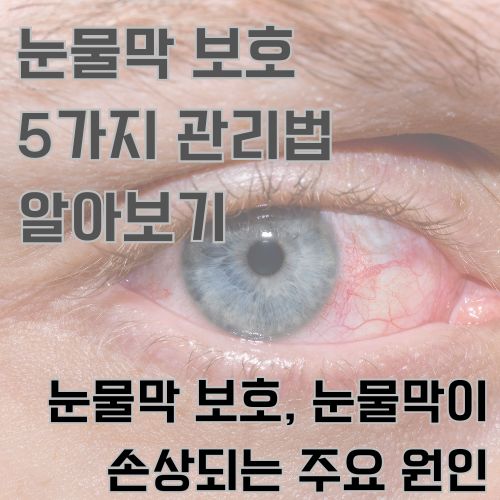 눈물막 보호가 필요함을 보여주는 내용으로 빨갛게 충혈된 눈 사진