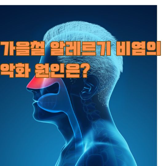 가을철 알레르기 비염 증상과 원인을 설명하는 파란색 인체 해부도 이미지, 빨간색으로 강조된 비강 부위