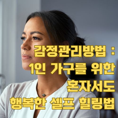 1인 가구를 위한 감정조절방법: 스트레스 해소와 마음 건강을 위한 혼자만의 실천 가이드