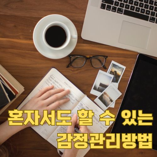 혼자서도 실천 가능한 감정조절방법: 일기와 독서를 통한 자기성찰로 마음 다스리기