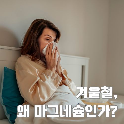 겨울철 마그네슘 부족으로 인한 면역력 저하 증상을 보여주는 감기에 걸린 여성