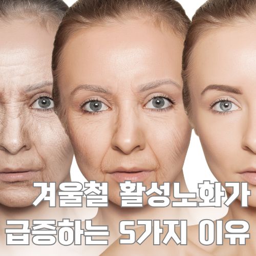 겨울철 활성노화로 인한 피부 노화 진행 과정을 보여주는 여성의 피부 변화 비교 이미지