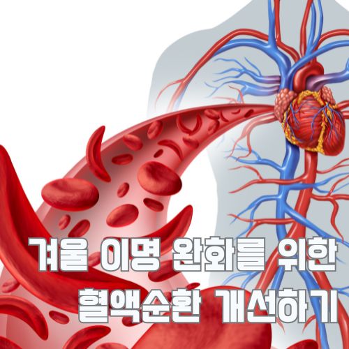 겨울 이명 완화에 도움되는 혈액순환 개선 효과를 보여주는 의학 일러스트레이션