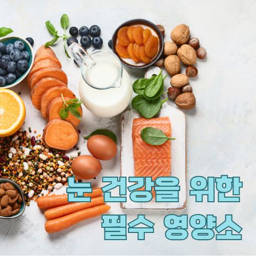 블루라이트로부터 눈 건강을 지키는 영양가 높은 항산화 식품들의 구성