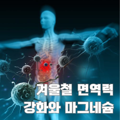 겨울철 마그네슘 섭취가 면역력 강화에 미치는 영향을 보여주는 3D 의학 일러스트레이션