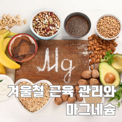겨울철 마그네슘이 풍부한 견과류, 아보카도, 바나나 등 건강식품 모음